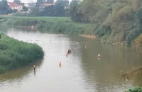 Nhóm 7 học sinh đi tắm sông, 2 em bị đuối nước tử vong
