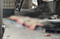 Tai nạn, 7 người thương vong tại Công ty CP Xi măng và Khoáng sản Yên Bái