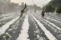 Mưa đá cực lớn tại Sơn La, sau 2 tiếng đá vẫn to bằng cái chén
