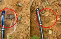 3 viên đất 'lạ' dưới chân nhóm phụ nữ nhậu chiều