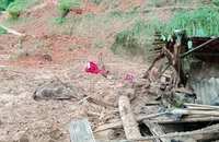Mưa lớn làm sập nhà khiến bé trai 13 tuổi tử vong