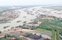 Phú Thọ tạm dừng hoạt động 35 mỏ khai thác cát