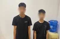 Sau khi xem TikTok, 2 thiếu niên chở nhau đi chặt biển số xe người đi đường 