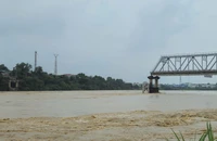 Tỉnh Phú Thọ báo cáo vụ sập cầu Phong Châu