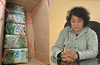 1 phụ nữ bị bắt khi đang vận chuyển gần 5kg ma tuý