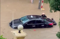 Tuyên Quang: Người dân đẩy ô tô bị ngập trong biển nước