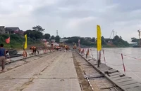 Phú Thọ: Tạm cắt cầu phao Phong Châu, chuẩn bị phà quân sự đưa người dân qua cầu