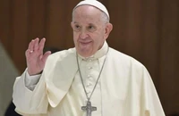 Đức Giáo hoàng Francis hỗ trợ khẩn cấp cho Việt Nam, Haiti và Bangladesh 369.000 euro.