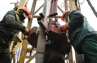 Bộ Ngoại giao Đức tuyên bố sẽ cắt đứt hoàn toàn nguồn dầu nhập khẩu từ Nga vào cuối năm nay. 