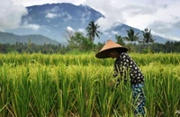 Bali trục xuất diễn viên người Canada khỏa thân nhảy múa ở núi thiêng