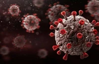 Một biến thể mới của virus SARS-CoV-2 (có tên là BA.2.75) xuất hiện gần đây đang khiến nhiều nhà khoa học lo ngại về làn sóng dịch COVID-19 mới.