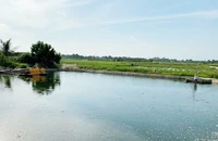 Nghi khi cứu cháu đuối nước, hai ông cháu tử vong