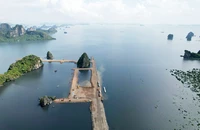 Quảng Ninh thông tin mới nhất về dự án lấn vịnh Hạ Long