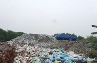 Hơn 6.000 tấn rác tồn đọng ở Hải Phòng vì dây chuyền xử lý bị hỏng