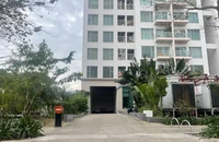 1 phụ nữ rơi từ tầng cao chung cư lúc rạng sáng