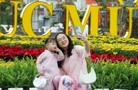 Người dân Hải Phòng nô nức check in tại dải vườn hoa trung tâm thành phố