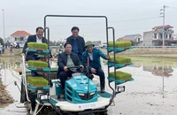 Thủ tướng xuống đồng cấy lúa cùng nông dân Hải Dương