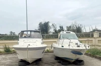 Thu giữ lô hàng động cơ máy thuỷ và xuồng nhập lậu tại Quảng Ninh