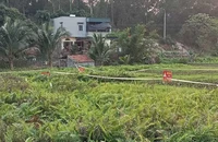 Nguyên nhân gây ra 'hố tử thần' ở Quảng Ninh