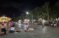 Lộn xộn tại dải vườn hoa trung tâm thành phố Hải Phòng
