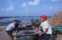 Hải Phòng, Quảng Ninh hối hả phòng chống siêu bão số 3 