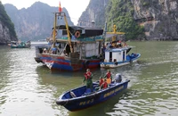 Quảng Ninh cấm biển từ 6-9, các địa phương ứng phó bão số 3