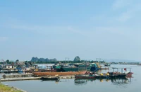 Bão số 3: Quảng Ninh tạm ngừng cấp phép tàu ra khơi từ 11 giờ hôm nay