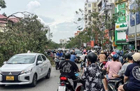 Cây xanh vẫn la liệt trên phố sau bão số 3, Hải Phòng huy động tổng lực dọn dẹp