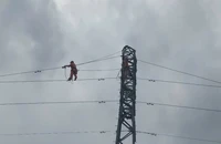 Khắc phục lưới điện không hiệu quả, Giám đốc Điện lực Hạ Long bị đình chỉ 