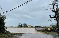 Hải Dương phát lệnh báo động I trên hệ thống sông Luộc, sẵn sàng phương án sơ tán dân