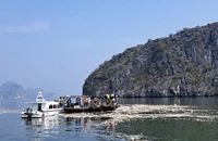 Quảng Ninh: Tổng lực 3 ngày làm sạch vịnh Hạ Long sau bão số 3