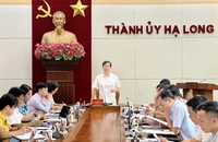 Giám đốc Ban quản lý dự án đầu tư xây dựng Hạ Long bị tạm đình chỉ công tác