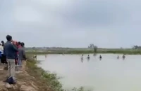 Thương tâm: 2 học sinh lớp 5 đuối nước khi tắm ao