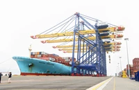 Hải Phòng: Khánh thành bến Cảng Container quốc tế công suất 2,2 triệu TEU/năm