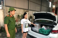 Làm giả hơn 60.000 gói thuốc bảo vệ thực vật bằng... hạt nêm
