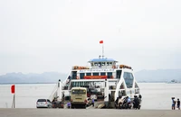 Khách xếp hàng chờ rời đảo Cát Bà, phà không chạy vì… hết định mức chuyến