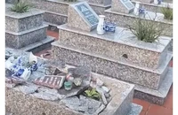 Công an điều tra kẻ đập phá nhiều lần mộ liệt sĩ Đồng Quốc Bình 