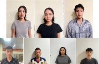 Khởi tố, tạm giam ca sĩ Miu Lê