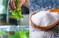 Ngâm rau trong nước muối để loại bỏ thuốc trừ sâu và hoá chất, đúng hay sai? 