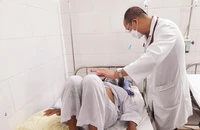 Cảnh báo ca sốt xuất huyết bắt đầu xuất hiện tại các tỉnh phía Bắc 