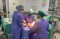 Đắp lá chữa rắn hổ mang cắn, người đàn ông suy đa tạng 