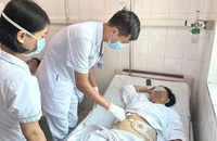 Đi chăn trâu, bị trâu húc thủng tầng sinh môn 
