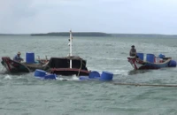 Tàu lai dắt bị tông chìm, 3 người trôi dạt trên biển