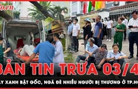 Bản tin trưa 3-4: Cây xanh bật gốc, ngã đè nhiều người bị thương ở TP.HCM