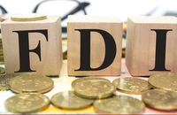 Thanh tra thuế các “ông lớn” FDI lỗ liên tục nhiều năm