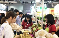 Trái cây Việt Nam xuất khẩu sang Thái Lan tăng hơn 240%