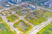 2 doanh nghiệp trúng đấu giá đất Thủ Thiêm ‘hứa’ nộp 100 tỉ đồng trước 30-4