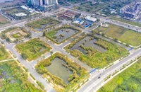 Cưỡng chế tài khoản thu nợ thuế của 2 công ty trúng đấu giá đất Thủ Thiêm 