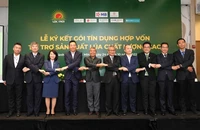 7 ngân hàng 'bơm' 100 triệu USD cho sản xuất lúa chất lượng cao