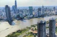 Nhiều công ty tại TP.HCM nợ thuế khủng 